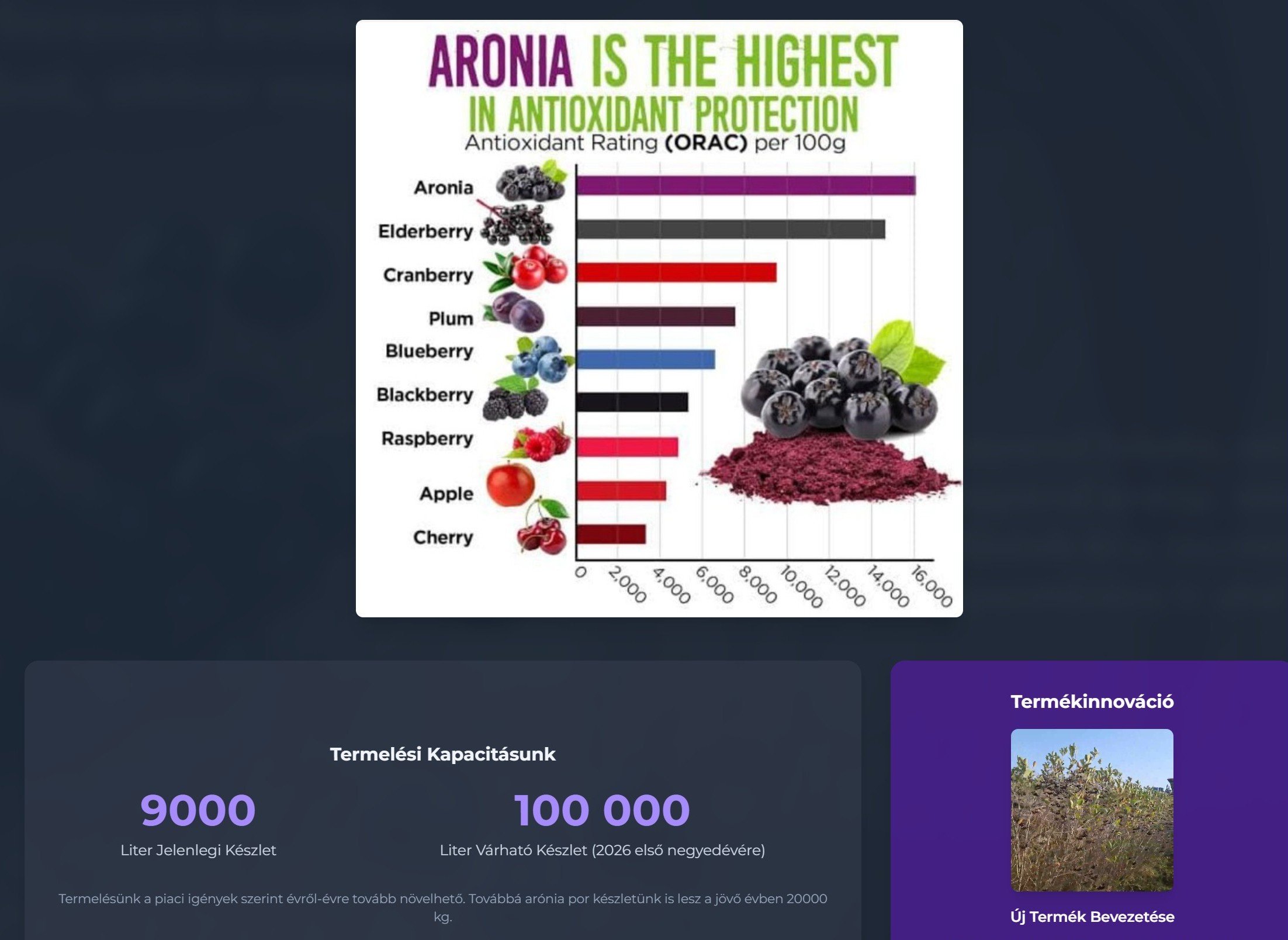 Aronia weboldal referencia
